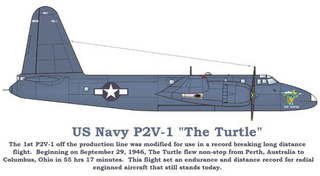 Illustration for article titled Truculent Turtle: Lockheed's Never Ending Neptune